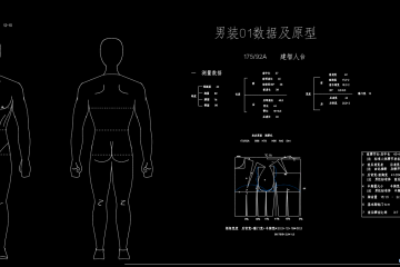 001尺寸分析及胸腰原型建立